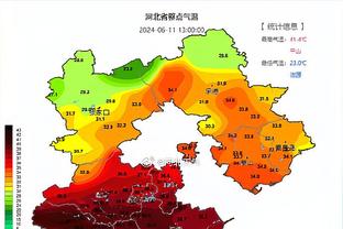 里昂主帅：如果本泽马回归我会感到很荣幸，但这仅仅是网络流言